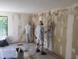 Best Real Estate Mold Inspection  in Beverly Hills, CA